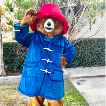 character-Paddington character-Paddington